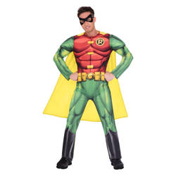 Dress, Costume Disguise Robin Size L