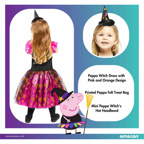 Pig Mini Party Dress Up