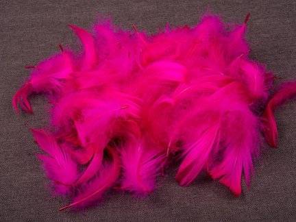 Decorative feathers - Amaranth, 12 g