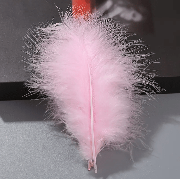 Decorative feathers long - 14cm, 100 szt