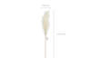 Artificial pampas grass, 15x110 cm, light cream