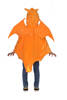 Child Costume Charizard Pokemon Cape 