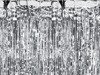 Curtain Silver metallic, 100 x 200cm