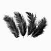 Decorative feathers - Black, 14cm, 100 szt