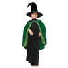 Dress, Costume Disguise Professor McGonagall Harry Potter, 8-10 years