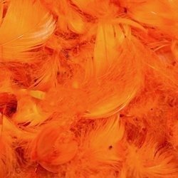 Dekorative Federn - Orange, 12 g