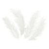 Decorative feathers long - white, 50 pieces