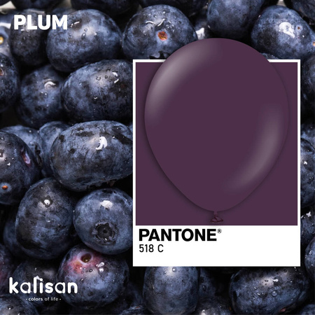 Latex Balloons Plum, 13cm, 100 pcs.