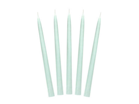 Sage taper candles, 24 cm, 10 pcs.