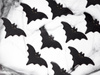 Servietten - Bat, Halloween 16x9cm (1 Pk. / 20 Stk.)