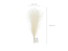 Artificial pampas grass, 10x45 cm, light cream