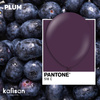 Latex Balloons Kalisan Plum, 25 pcs, 45cm