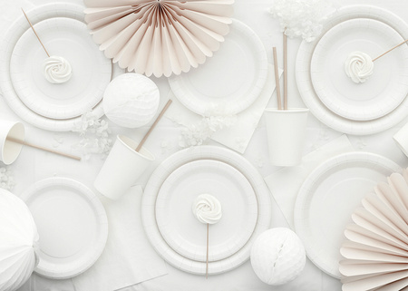 Paper napkins White 33x33cm 20 pcs