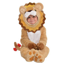 Outfit, Costume Disguise Lion Lion County 12-24 MSC