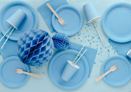 Paper napkins Light Blue 33x33cm 20 pcs