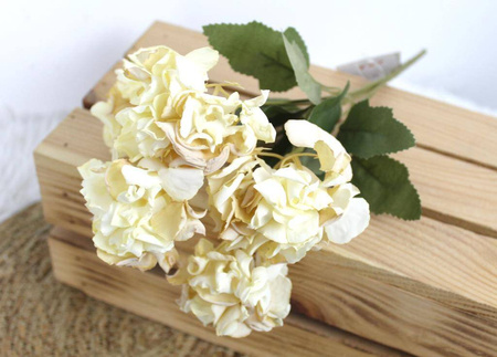 Dried hydrangea bouquet, cream, 5 stems, 33 cm