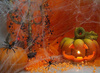 Dekoratives Spinnennetz, Halloween, Spinnen, Weiß, 60g