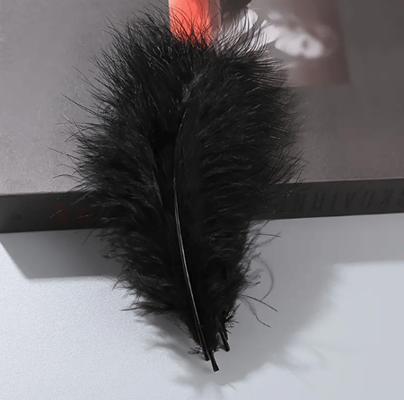 Decorative feathers - Black, 14cm, 100 szt