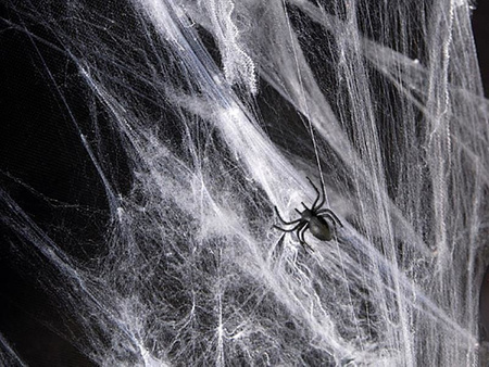 Decorative Halloween spider web spiders +, white, 60g