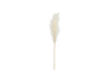 Artificial pampas grass, 15x110 cm, light cream