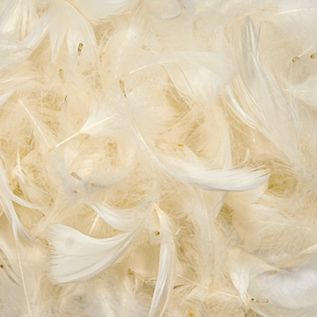 Decorative feathers - Cream cream, 12 g