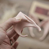 Elf, Troll, Gnome Ears - Set