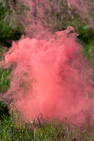 Smoke fountain It's a Girl pink 22.5cm 5 pieces