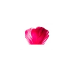 Dekorative Federn - Amaranth, 12 g