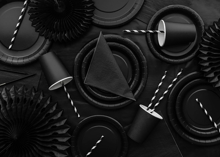 Paper plates Round Black 23cm 6 pcs