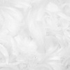 Decorative feathers in a box - white