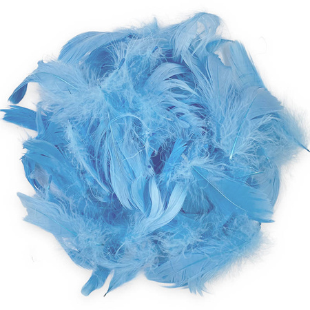 Decorative feathers in a box - blue