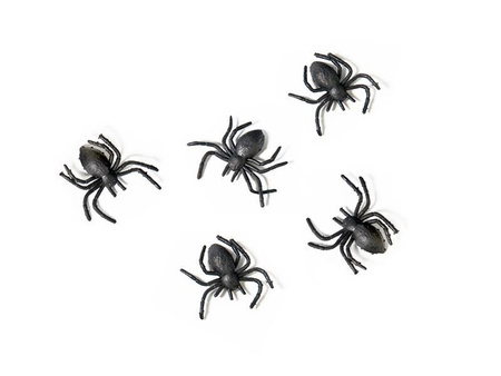 Plastic spiders, black, 10 pcs.